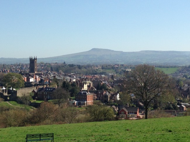 View from Whitcliffe Common