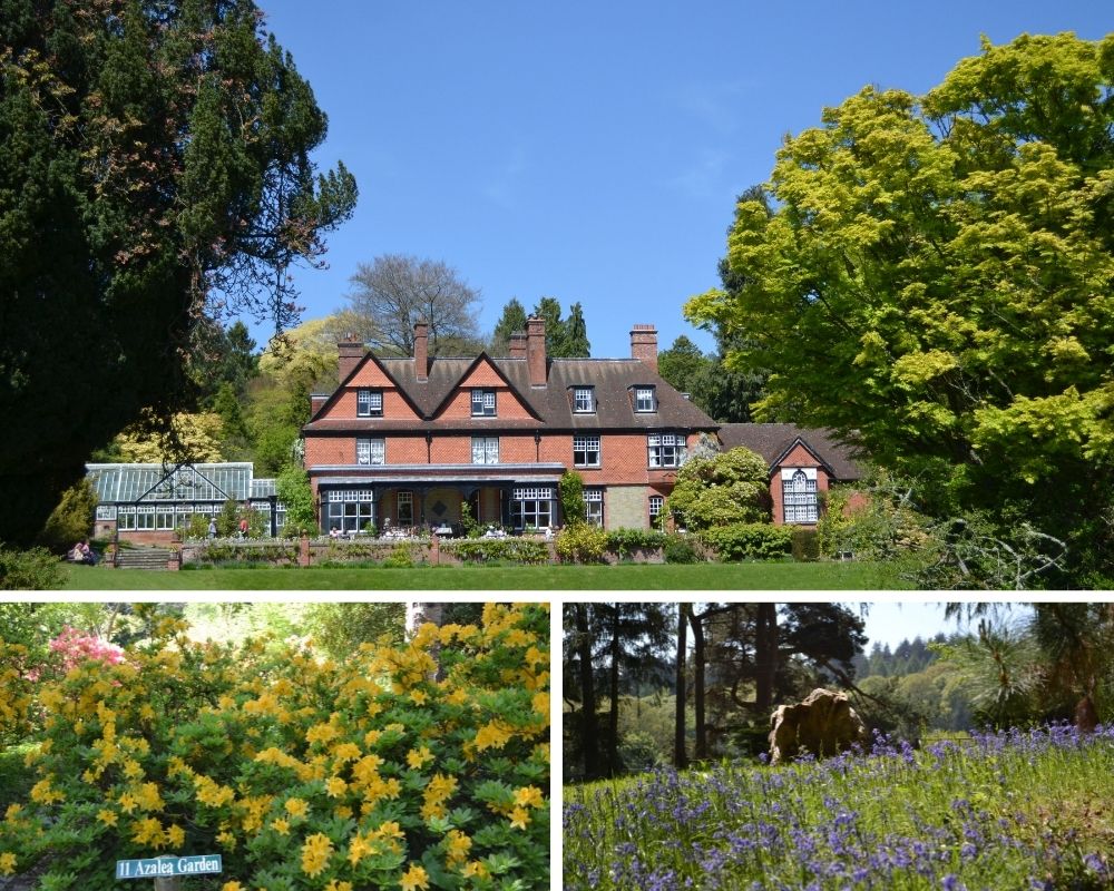 A montage of photos from Hergest Croft Gardens, showing colourful azalea bushes, blubells in a meadow and a house.