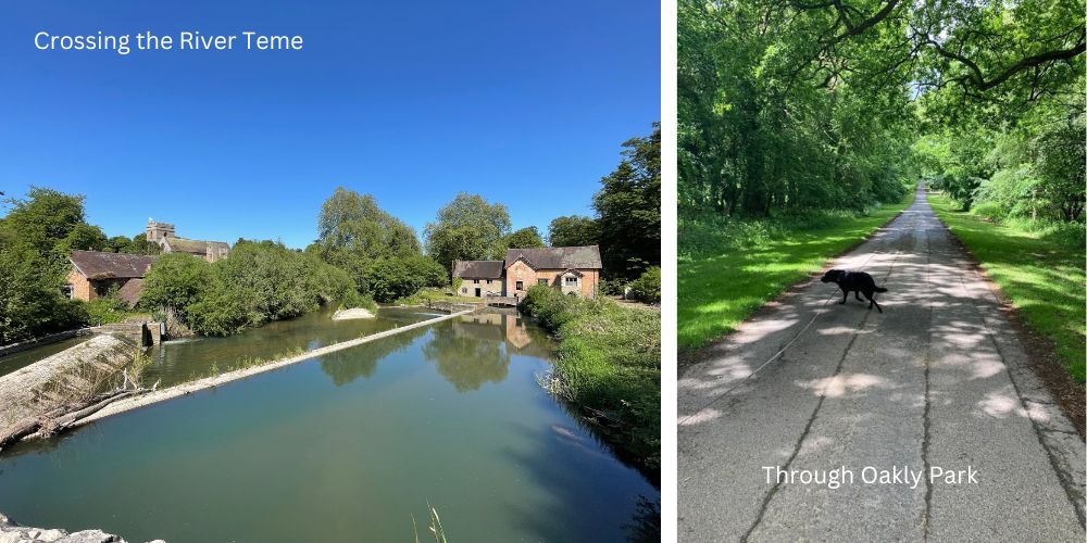 River Teme and Oakly Park