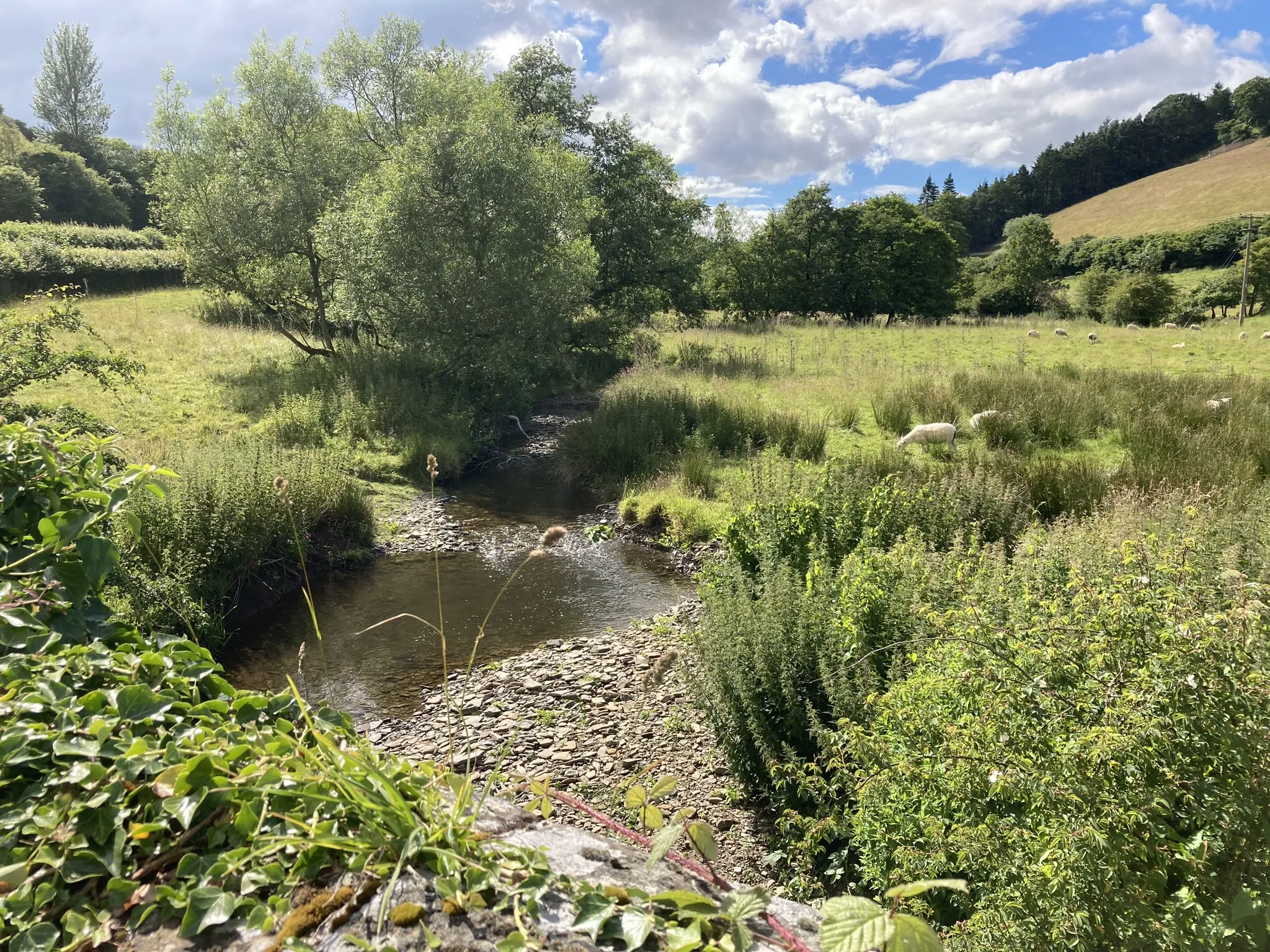 River Redlake at Pentre