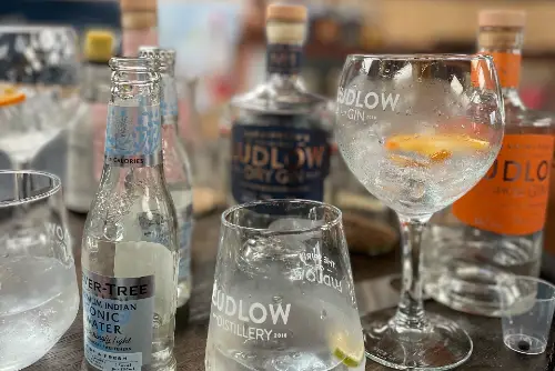 Ludlow Distillery tour & Gin School