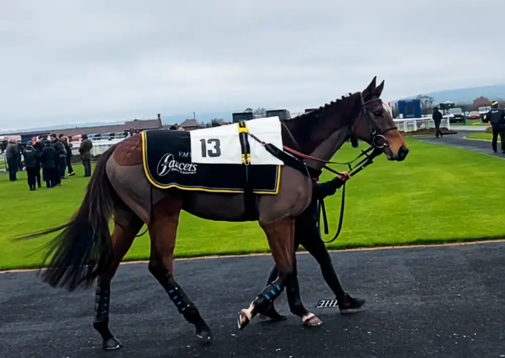 Soak up the atmosphere at the Parade Ring